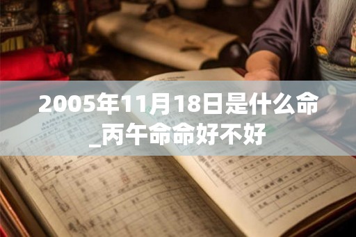 2005年11月18日是什么命_丙午命命好不好