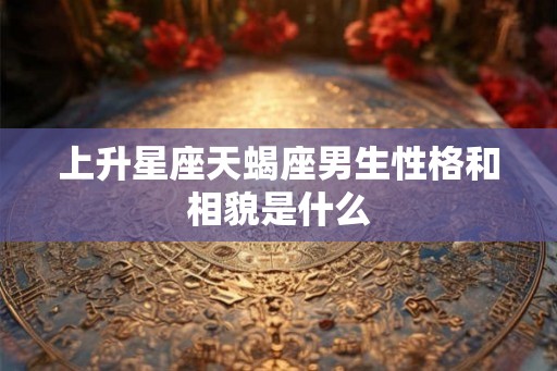 上升星座天蝎座男生性格和相貌是什么