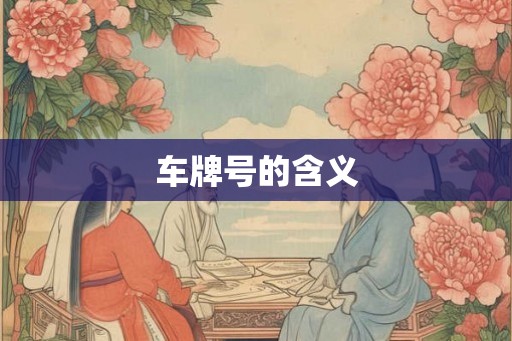 车牌号的含义
