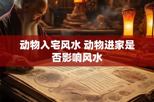 动物入宅风水 动物进家是否影响风水