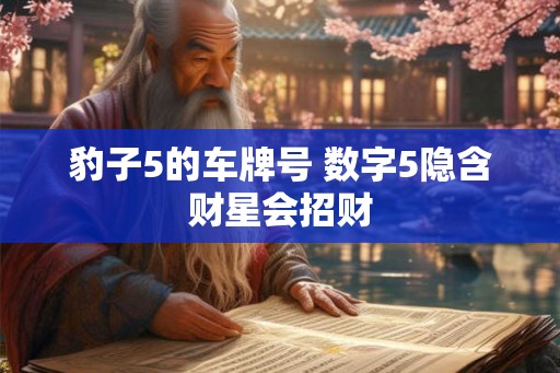豹子5的车牌号 数字5隐含财星会招财