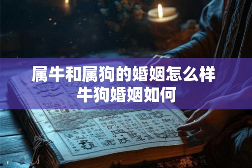 属牛和属狗的婚姻怎么样 牛狗婚姻如何