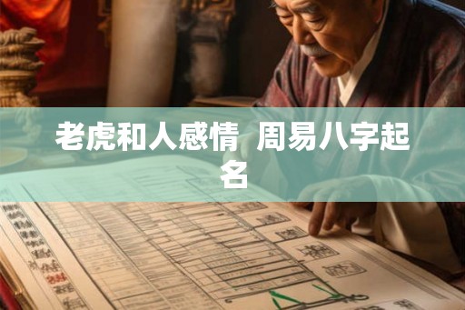 老虎和人感情  周易八字起名
