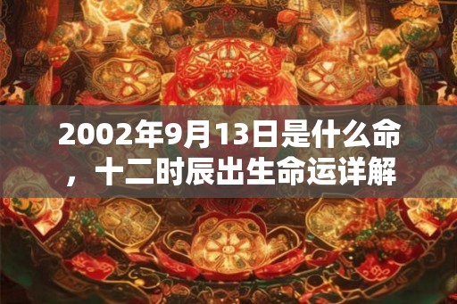 2002年9月13日是什么命，十二时辰出生命运详解