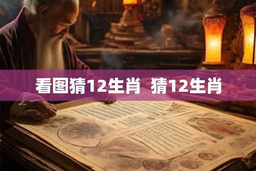 看图猜12生肖  猜12生肖
