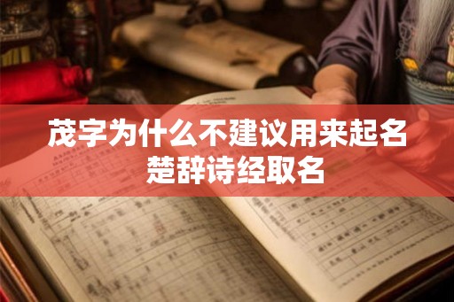 茂字为什么不建议用来起名 楚辞诗经取名 茂字为什么不建议用来起名 楚辞诗经取名