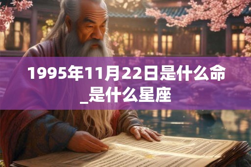 1995年11月22日是什么命_是什么星座