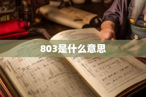 803是什么意思