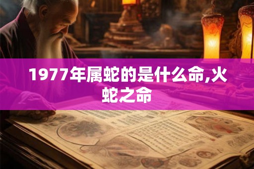 1977年属蛇的是什么命,火蛇之命