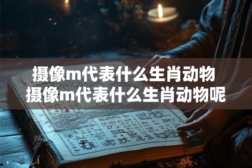 摄像m代表什么生肖动物 摄像m代表什么生肖动物呢