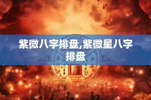 紫微八字排盘,紫微星八字排盘