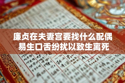 廉贞在夫妻宫要找什么配偶 易生口舌纷扰以致生离死别