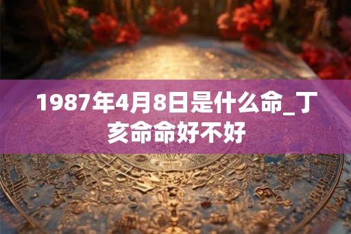 1987年4月8日是什么命_丁亥命命好不好