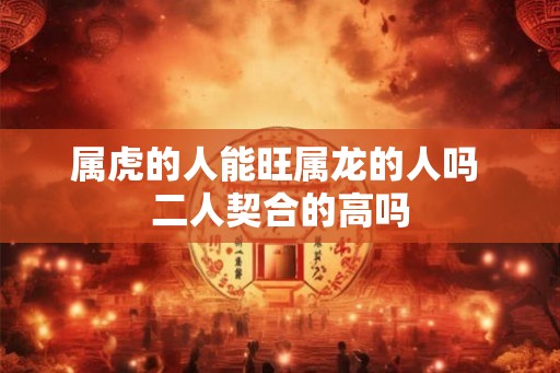 属虎的人能旺属龙的人吗 二人契合的高吗