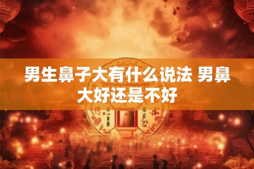 男生鼻子大有什么说法 男鼻大好还是不好