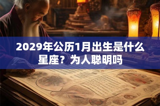 2029年公历1月出生是什么星座？为人聪明吗