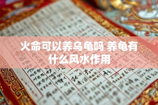 火命可以养乌龟吗 养龟有什么风水作用 火命可以养乌龟吗 养龟有什么风水作用