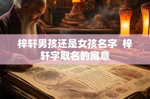 梓轩男孩还是女孩名字  梓轩字取名的寓意