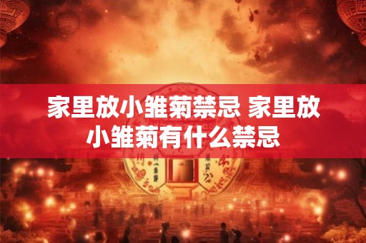 家里放小雏菊禁忌 家里放小雏菊有什么禁忌