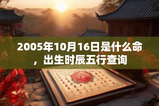 2005年10月16日是什么命，出生时辰五行查询