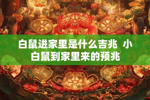白鼠进家里是什么吉兆  小白鼠到家里来的预兆