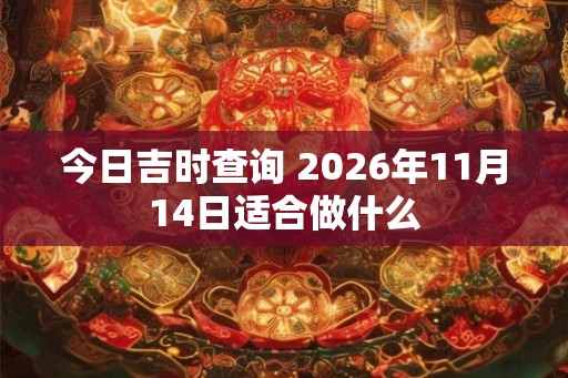 今日吉时查询 2026年11月14日适合做什么