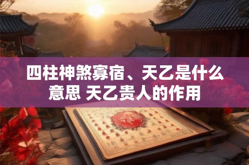四柱神煞寡宿、天乙是什么意思 天乙贵人的作用 四柱神煞寡宿、天乙是什么意思 天乙贵人的作用