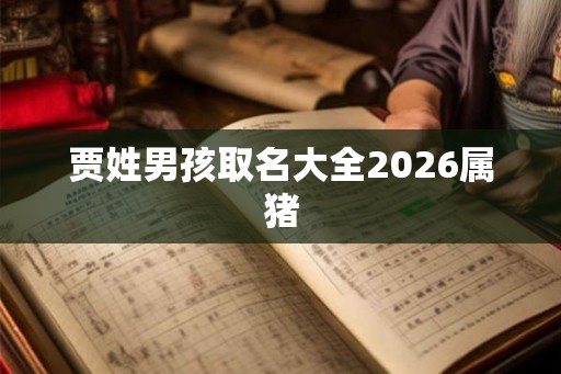 贾姓男孩取名大全2026属猪
