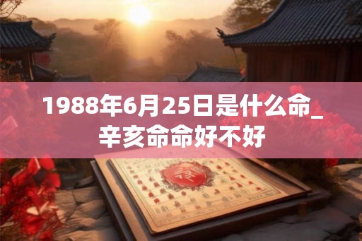 1988年6月25日是什么命_辛亥命命好不好