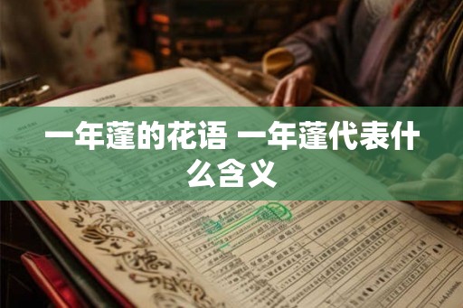 一年蓬的花语 一年蓬代表什么含义 一年蓬的花语 一年蓬代表什么含义