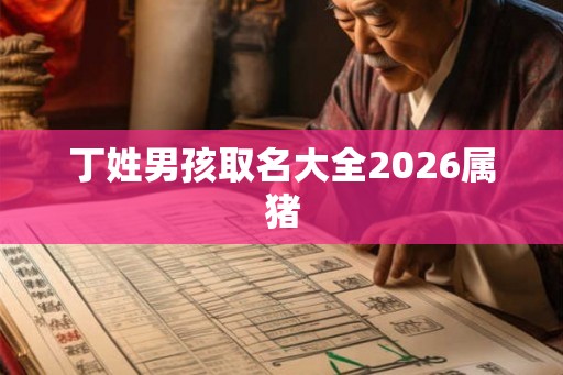 丁姓男孩取名大全2026属猪