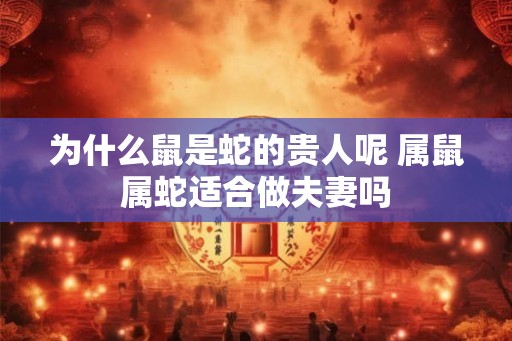 为什么鼠是蛇的贵人呢 属鼠属蛇适合做夫妻吗