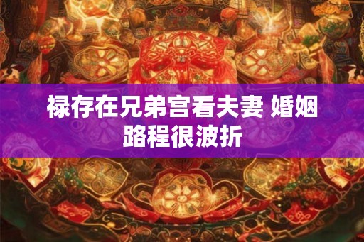 禄存在兄弟宫看夫妻 婚姻路程很波折