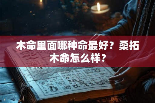 木命里面哪种命最好？桑拓木命怎么样？