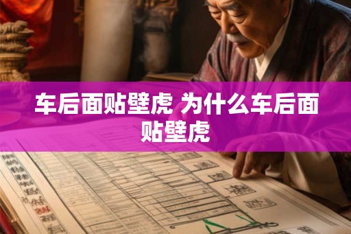 车后面贴壁虎 为什么车后面贴壁虎