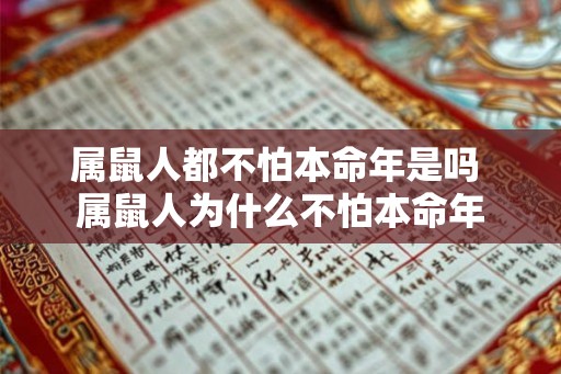 属鼠人都不怕本命年是吗 属鼠人为什么不怕本命年 属鼠人都不怕本命年是吗 属鼠人为什么不怕本命年