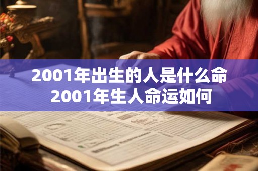 2001年出生的人是什么命 2001年生人命运如何