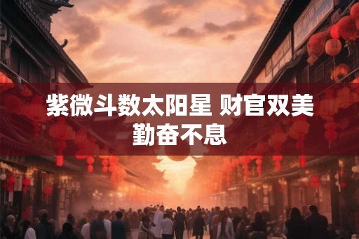 紫微斗数太阳星 财官双美勤奋不息