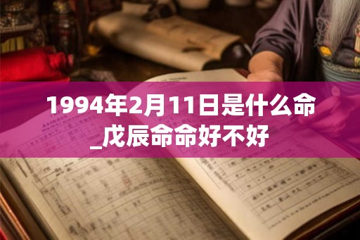 1994年2月11日是什么命_戊辰命命好不好