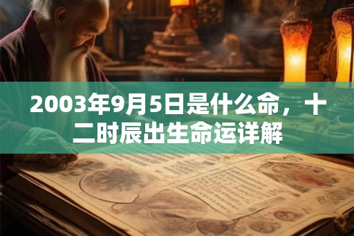 2003年9月5日是什么命，十二时辰出生命运详解