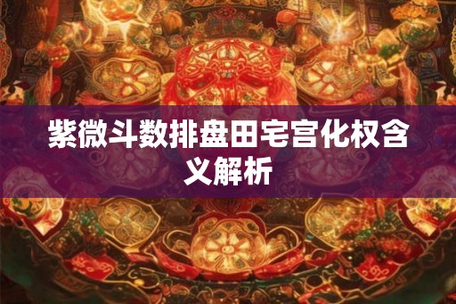 紫微斗数排盘田宅宫化权含义解析