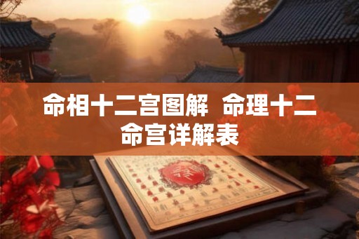 命相十二宫图解  命理十二命宫详解表