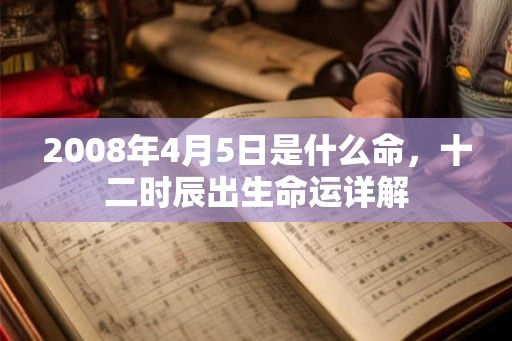 2008年4月5日是什么命，十二时辰出生命运详解
