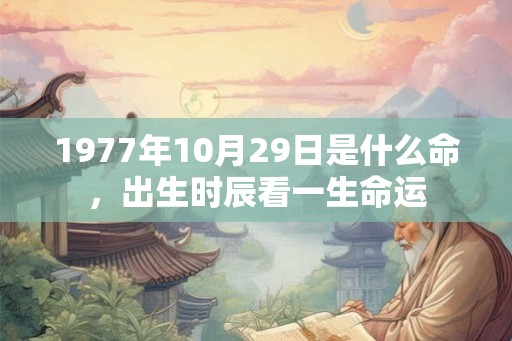1977年10月29日是什么命，出生时辰看一生命运
