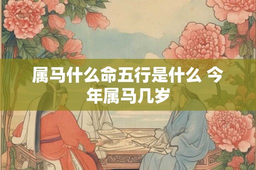 属马什么命五行是什么 今年属马几岁