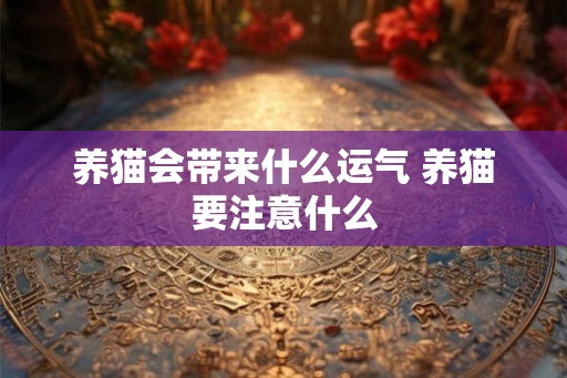 养猫会带来什么运气 养猫要注意什么