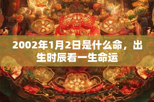 2002年1月2日是什么命，出生时辰看一生命运
