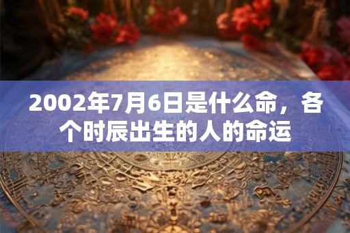 2002年7月6日是什么命，各个时辰出生的人的命运