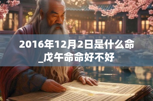 2016年12月2日是什么命_戊午命命好不好