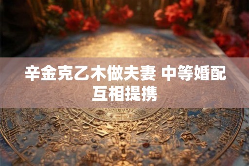 辛金克乙木做夫妻 中等婚配互相提携